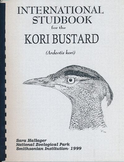 Kori bustard