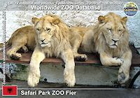 00250 (01)  Safari Park ZOO Fier