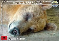 00595 (01)  DEA Mini ZOO