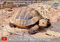00665 (01)  Mini ZOO Budva