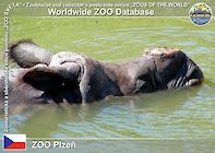 00003 (01)  ZOO Plzeň