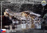 00013 (01)  ZOO Brno