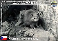 00019 (01)  † Koutek živé přírody Louny