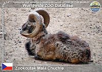 00106 (01)  Zookoutek Malá Chuchle