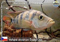 00162 (01)  Veřejné akvárium Česká Lípa