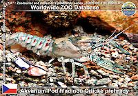 00169 (01)  Akvárium Pod hladinou Orlické přehrady