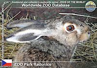 00203 (01)  ZOO Park Radonice