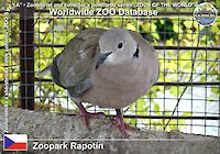 00205 (01)  Zoopark Rapotín