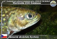 00206 (01)  Zámecké akvárium Sychrov