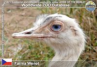 00271 (01)  Farma Wenet