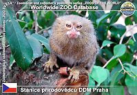 00332 (01)  Stanice přírodovědců DDM Praha