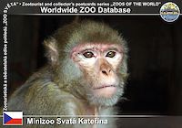 00335 (01)  Minizoo Svatá Kateřina