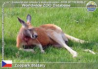 00339 (01)  Zoopark Stěžery