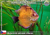 00461 (01)  Botanická zahrada Liberec