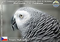 00463 (01)  Tropic Hukvaldy
