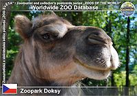 00881 (01)  Zoopark Doksy