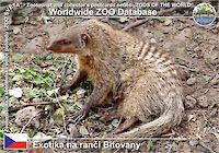 00893 (01)  Exotika na ranči Bítovany