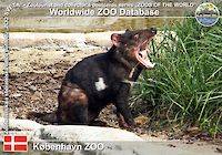 00364 (01)  København ZOO
