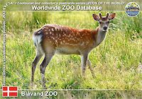 00991 (01)  Blåvand Zoo
