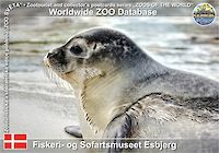 00996 (01)  Fiskeri- og Søfartsmuseet Esbjerg