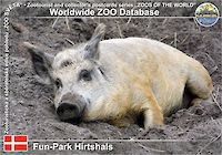 00999 (01)  Fun-Park Hirtshals