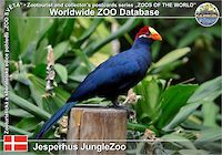 01003 (01)  Jesperhus JungleZoo
