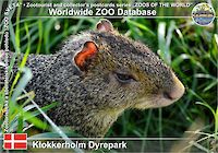 01007 (01)  Klokkerholm Dyrepark
