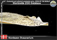 01017 (01)  Nordsøen Oceanarium