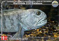 01074 (01)  JyllandsAkvariet