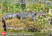 01077 (01)  Krokodille ZOO Eskilstrup