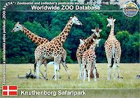 01080 (01)  Knuthenborg Safaripark