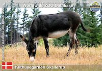 01086 (01)  Klithusegården Skallerup