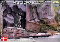 01094 (01)  Legoland Penguin Bay