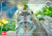 01104 (01)  Odsherred ZOO Rescue
