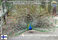 00771 (01)  Korpikeidas Kotieläinmetsä