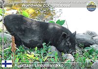 00815 (01) Kupittaan Lintulammikko