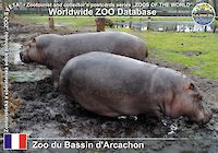 00129 (01)  ZOO du Bassin d'Arcachon