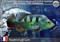 00363 (01)  Aquarium de Lyon