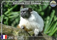 00430 (01)  ZOO de Lyon