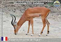 00600 (01)  Réserve Africaine de Sigean