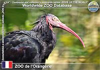 00651 (01)  ZOO de l'Orangerie