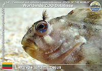 00686 (01)  Lietuvos jūrų muziejus