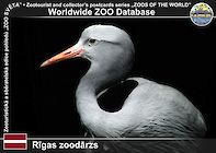 00192 (01)  Rīgas Zoodārz