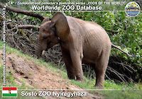 00017 (01)  Sóstó ZOO Nyíregyháza