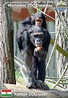 00018 (01)  Xantus ZOO Győr