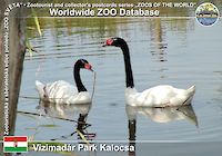 00824 (01)  Vizimadár Park Kalocsa