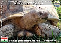00826 (01)  Teknős park Balatonföldvár - Kőröshegy