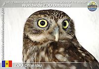 00240 (01)  ZOO Chişinău