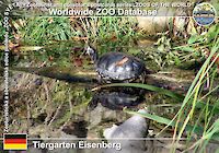 00076 (01)  Tiergarten Eisenberg