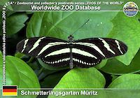 00077 (01)  † Schmetterlingsgarten Müritz